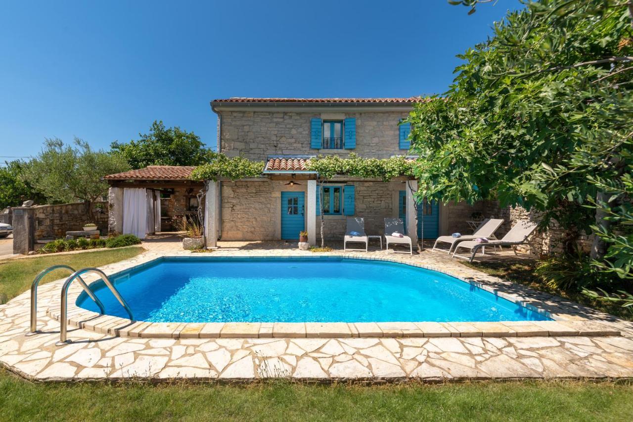 Villa Janko Sveti Lovreč Pazenatički Εξωτερικό φωτογραφία