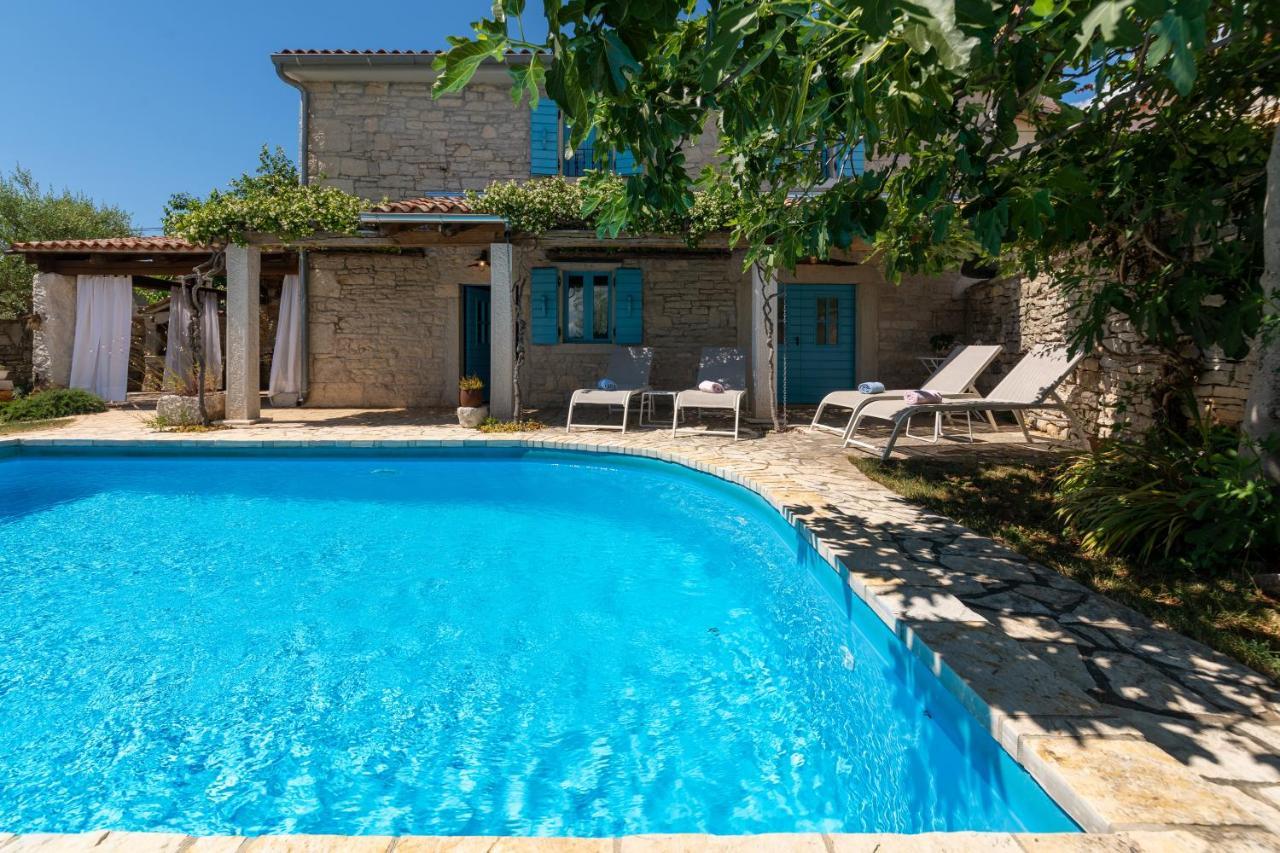 Villa Janko Sveti Lovreč Pazenatički Εξωτερικό φωτογραφία