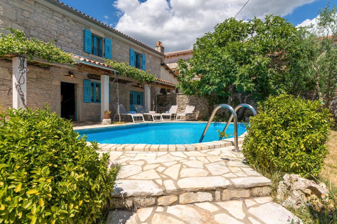 Villa Janko Sveti Lovreč Pazenatički Εξωτερικό φωτογραφία