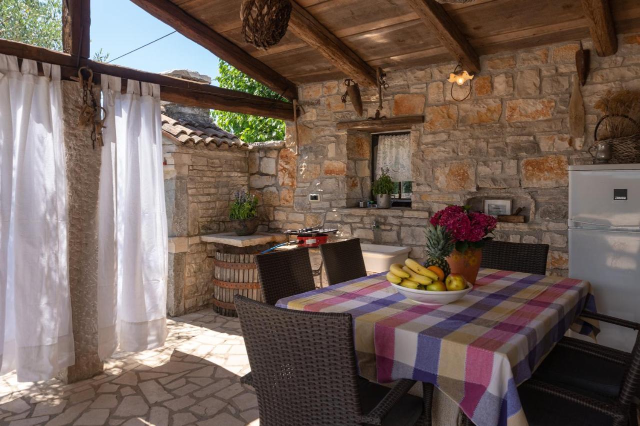 Villa Janko Sveti Lovreč Pazenatički Εξωτερικό φωτογραφία